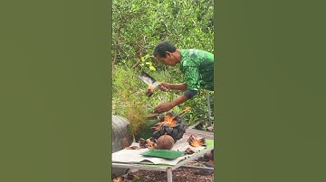 Nipa Palm #nipapalm #palm #thailand #yummy