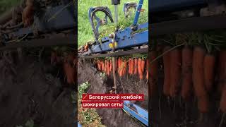 Белaрусский комбайн для уборки моркови удивил пользователей со всего мира.