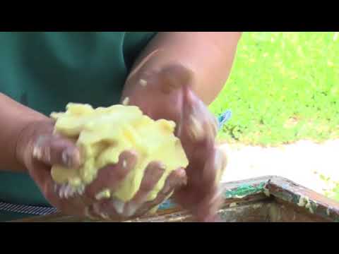 ადრეული ქორწინების ტვირთი