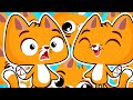 Кошки и скамьи - СуперЗу для детей