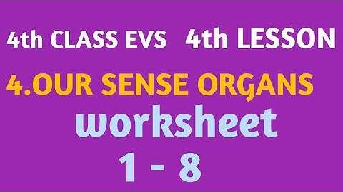 # 4.OUR SENSE ORGANS # 4th CLASS EVS # 4th lesson # worksheet 1 - 8 #MNINFO