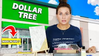 New Dollar Tree Products: How many Dollar Tree Items would I pay more for by Vivian Tries 104,570 views 1 month ago 14 minutes, 6 seconds