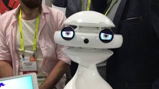 The Robots of CES 2017