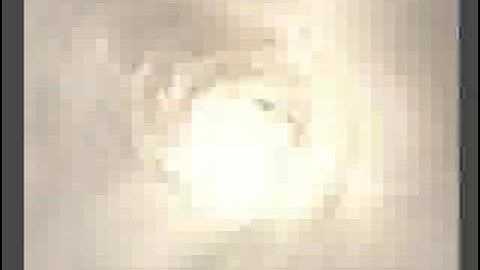 FFXII Entire Yiazmat Battle Part 1