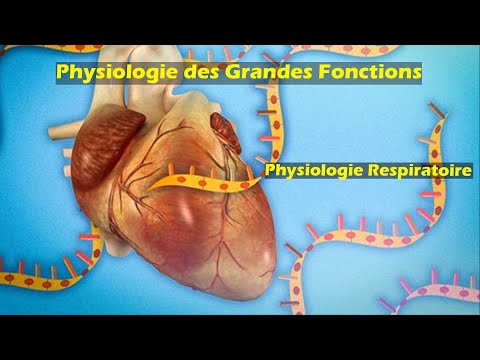 Physiologie respiratoire S5 (partie 1) | Physiologie des grandes fonctions | Pr. Z. Chraïbi