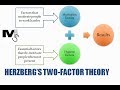 Herzberg's Two-Factor theory of Motivation - Simplest explanation ever
