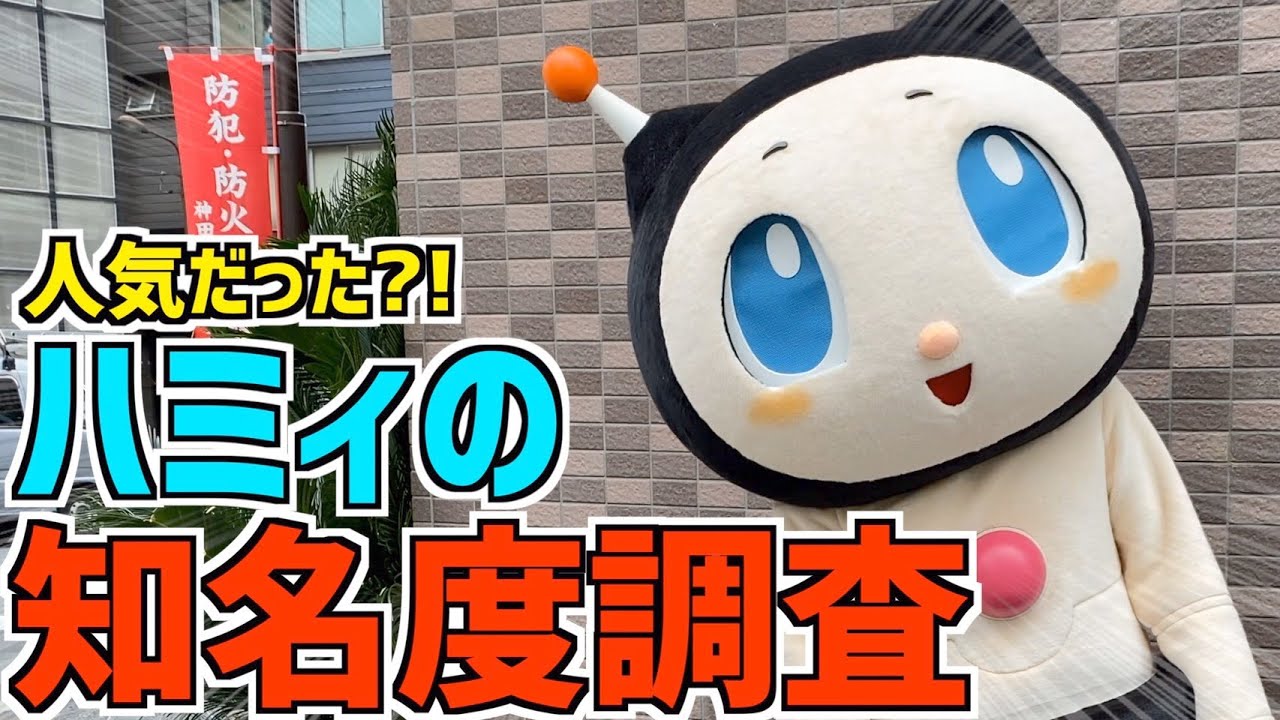 年度版 ハミィってみんな知ってるの 秋葉原で知名度調査した結果 ハミィの日常 Youtube 年度版 ハミィってみんな知ってるの 秋葉原で知名度調査した結果 ハミィの日常 Youtube