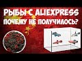 🐠Живые рыбки с Aliexpress! Первая попытка оказалась неудачной!