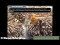 Marine Ecosystems and Adaptations of Aquatic Life