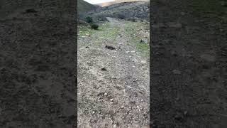 Cerros, camino al pueblito de Lambert, La Serena, Chile