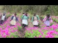 Women Farmers and Andean Seeds: Shaping Futures in Peru