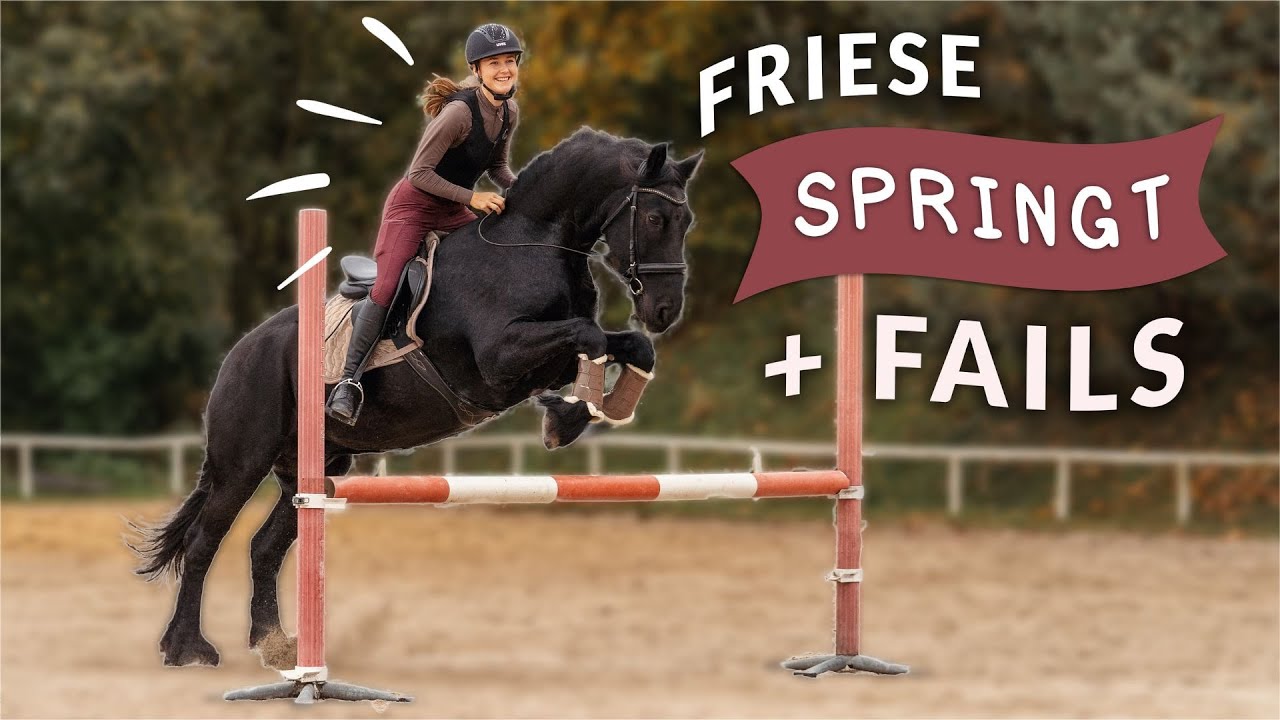 Unglaublich! | E - Springen mit 1,50m Sprung | Para - Reiterin verwechselt Sprung