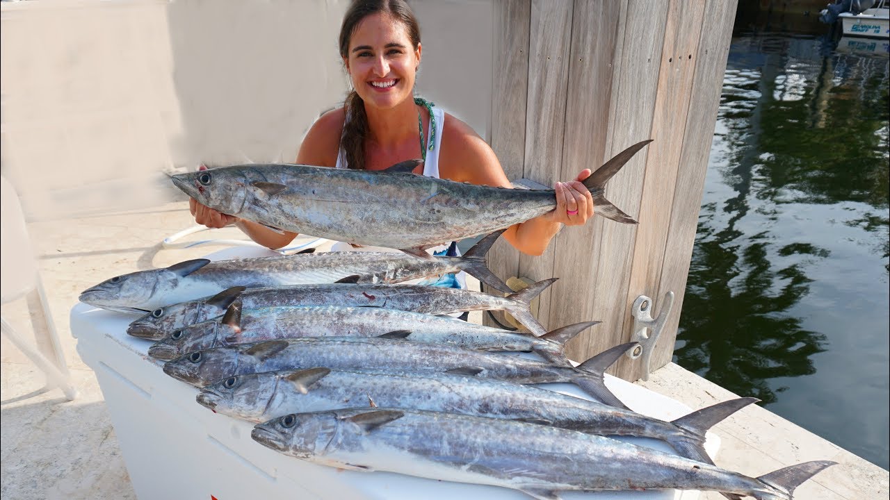 CRAZY LIMIT Of Kingfish!! CATCH and COOK! YouTube