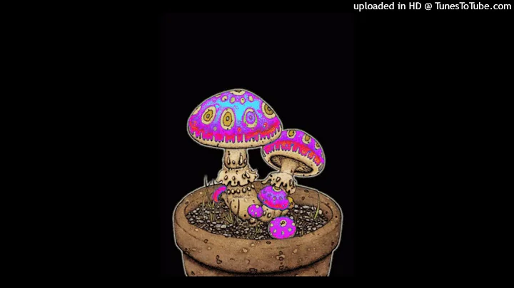 Lady Gaga & Dj tons Always Remember Us This Way rework 2023 Marloz vdmx Round Rounded Remix Tribute