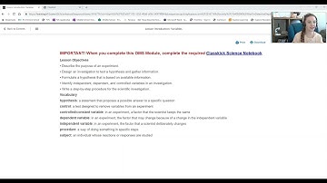 Introduction Video- Variables