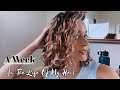 A Week In The Life Of My Hair (type 2 waves)
