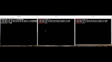 ARP Poisoning Attack in the VMWare ESXi 6.0 Hypervisor Environment