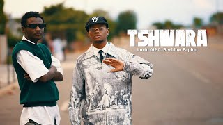 Lucid 012 Ft Beeblow Papino  Tshwara  Visualizer