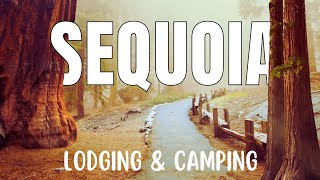 ACCOMMODATION - Lodges and Camping - in Sequoia NP