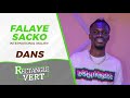 Falaye sacko dans rectangle vert