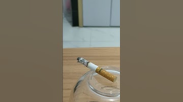 Time lapse video of a cigarette #music #lofi #art #timelapse