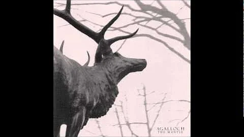 Agalloch - In The Shadow Of Our Pale Comp