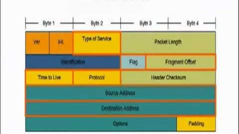 Network Layer Video 1