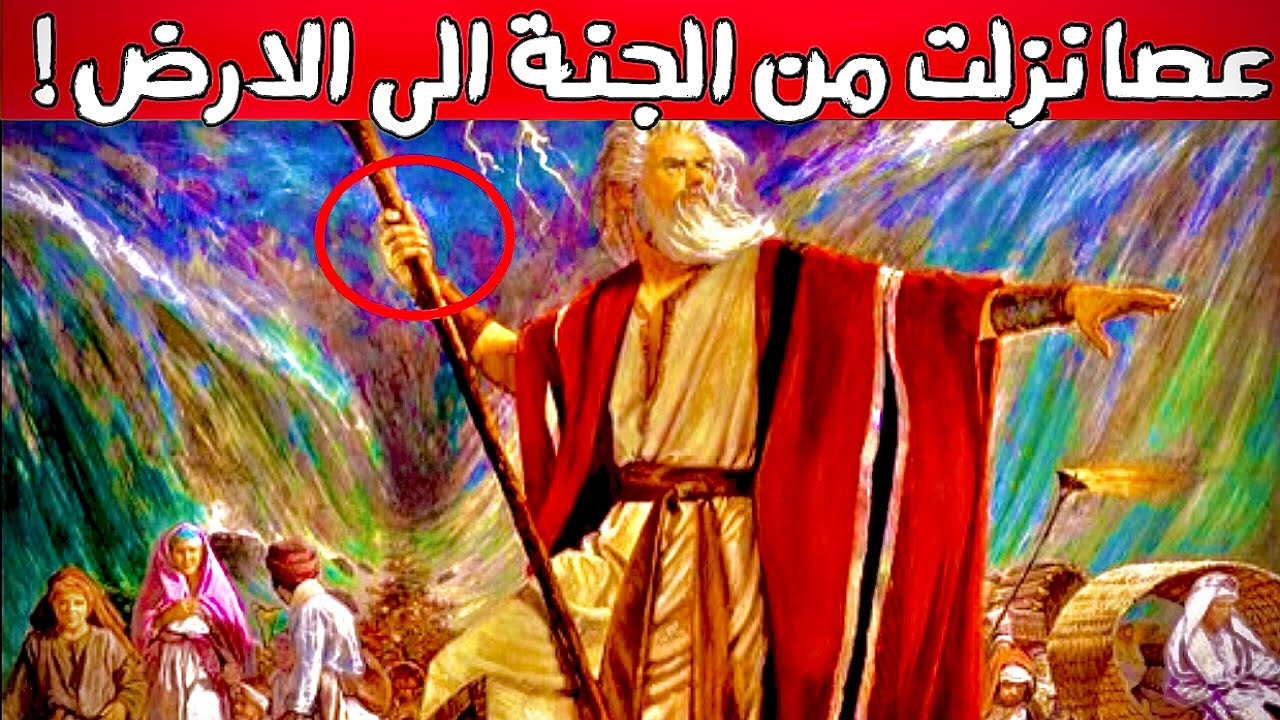 حقائق واسرار عن عصا النبي موسى (ع) ❗️
