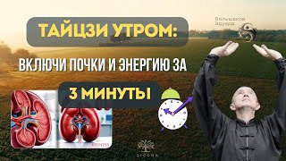 ✨ Тайцзи утром: включи почки и энергию за 3 минуты
