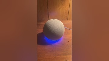 Making Alexa Sassy #alexatips #alexa