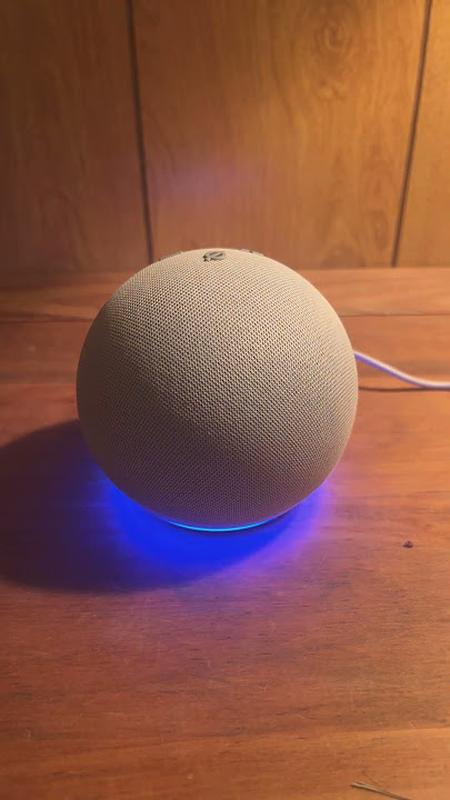 Making Alexa Sassy #alexatips #alexa