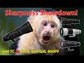 Sharpness Showdown! Nikon 600mm TC Vs. Nikon 800 PF, Sony 600 GM, and Nikon 600 F/4 E!