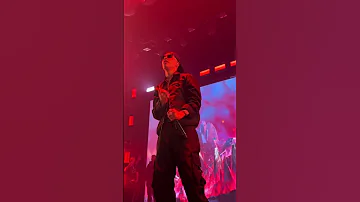 GATA ONLY LIVE In MILAN Cris MJ X Fans Viral Stage Performance 2024 Crismj Latinmusic 