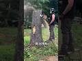 나무 그루터기를 잘라 만든 작품 thumbnail