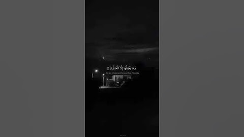 وتلك الأمثال نضربها الناس تلاوه عطره