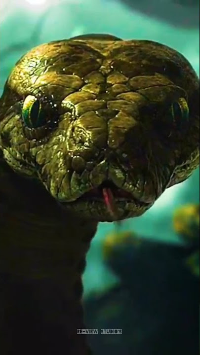 Kaa | The Jungle Book | Mowgli | Review Studio's | #shorts