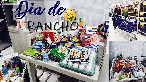 COMPRAS DO MÊS + ORGANIZANDO ARMÁRIO E GELADEIRA