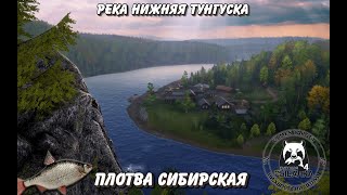 Плотва Сибирская. Нижняя Тунгуска. Русская Рыбалка 4