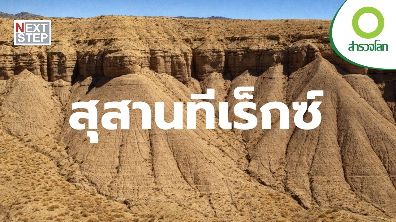 อีกด้านที่โลกไม่เคยเห็นของทีเร็กซ์ | สารคดี สำรวจโลก