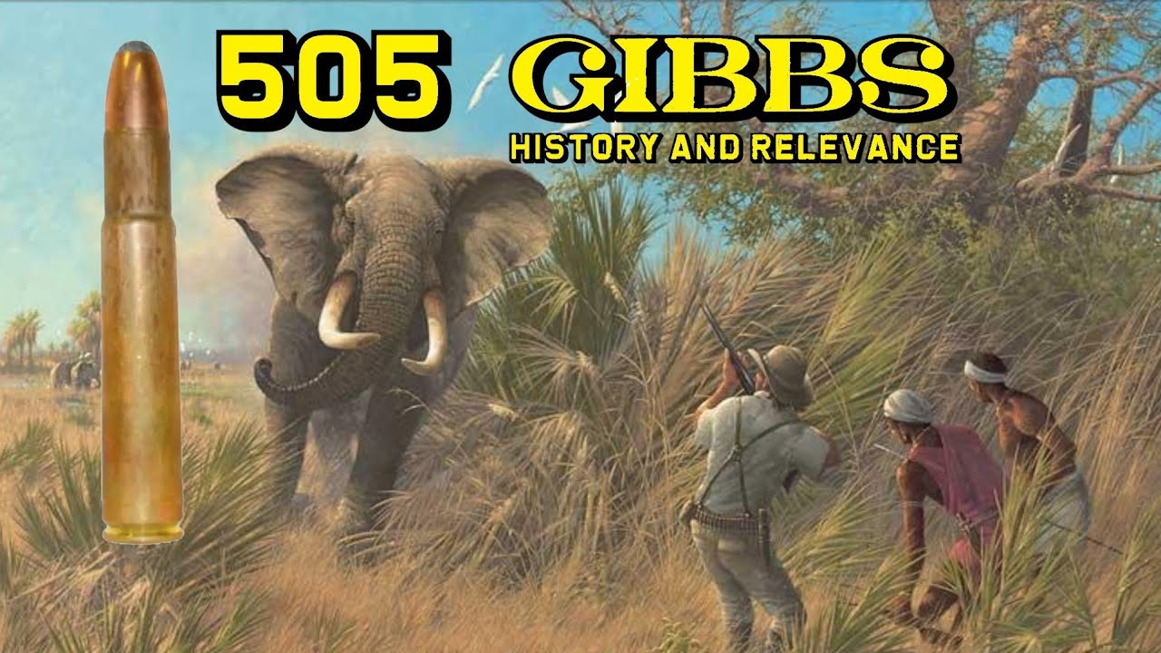 505 GIBBS: History and Relevance