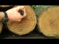 How to: Identify Grain Direction in wood How to: Identify Grain Direction in wood