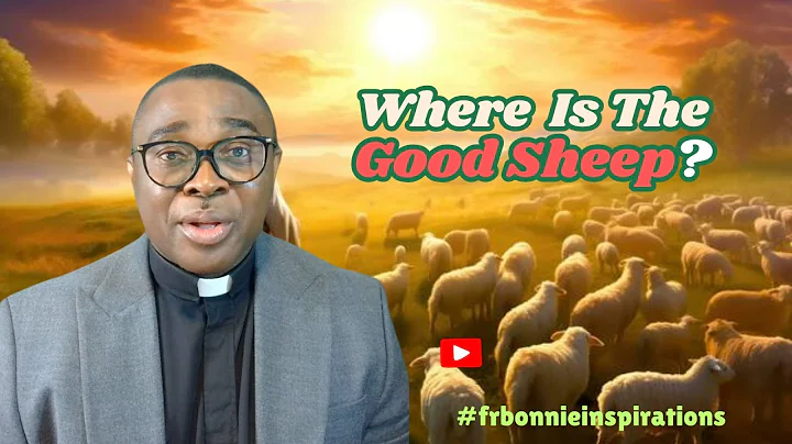 Where is the Good Sheep? |Good Shepherd Sunday Reflection (Year C)