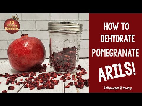 How to Dehydrate Pomegranate Arils | 12 Days of Dehydrating