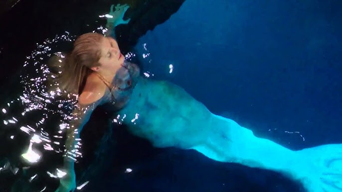 SIREN SONG — la-sirena-solitaria: Mako Mermaids by