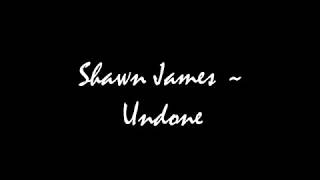 Shawn James - Undone Lyrics