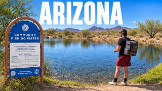 Fishing Phoenix Arizona's Community Ponds (Surprising)