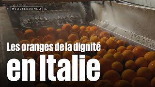 Les oranges de la dignité en Italie