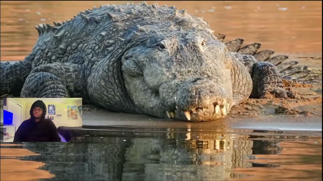 Yea Noo!! Top 10 Most Dangerous Creatures Living In The Deep Sea REACTION