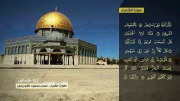 غسان الشوربجي سورة الشعراء