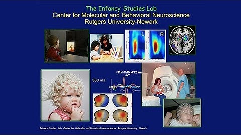 Early Brain Trajectories and Evolving Oscillations: Template for Mature Function?